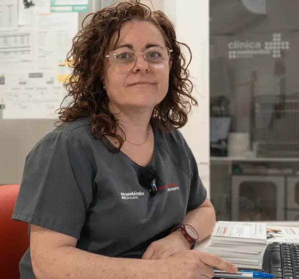 Medicina interna veterinaria top