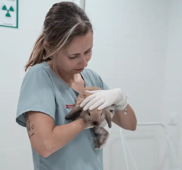 animales exóticos top