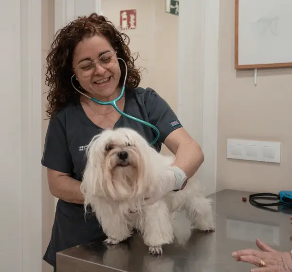 cardiología top