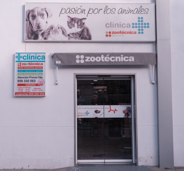 Cirugia veterinaria en Jerez