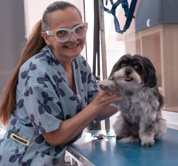 Peluqueria canina en Jerez 2